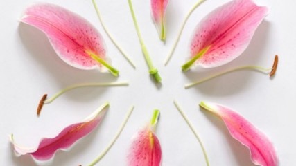 Fong Qi Wei - Exploded Flowers