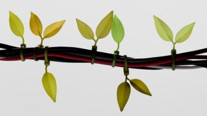 leaf tie