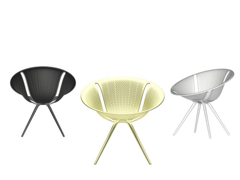 diatom - moroso