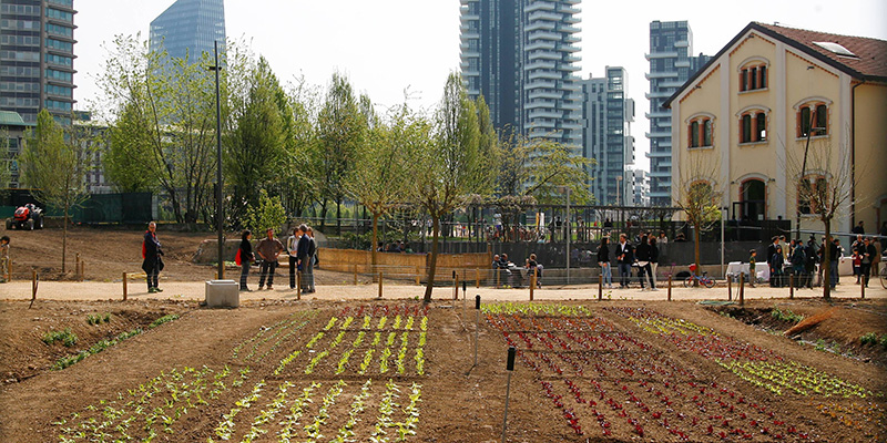 campo di grano a Milano