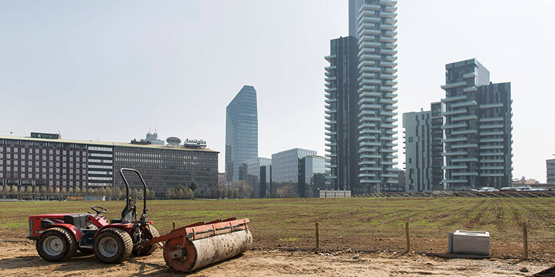 campo di grano a Milano