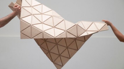 Wood-Skin
