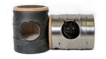 cuccia_party_cat_purr_growl