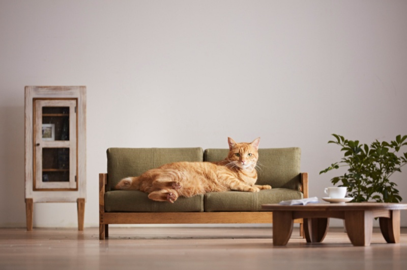 okawa kagu cat furniture 