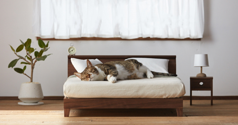 okawa kagu cat furniture 