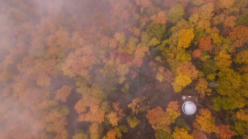 luxury eco resort domes charlevoix
