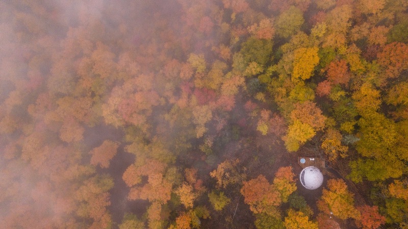 luxury eco resort domes charlevoix