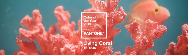 Pantone color of the year 2019