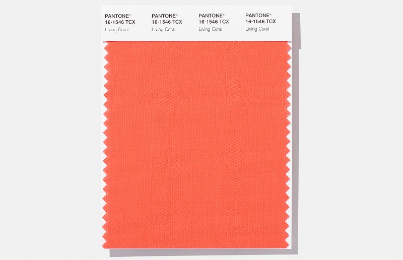 Pantone color of the year 2019