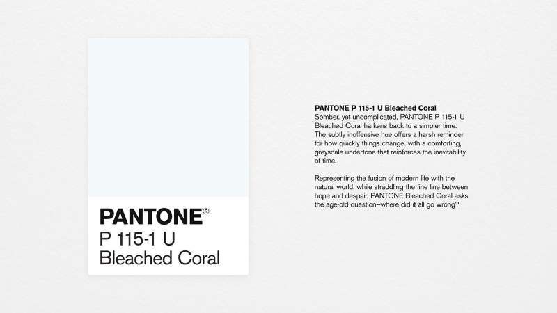 pantone bleached coral